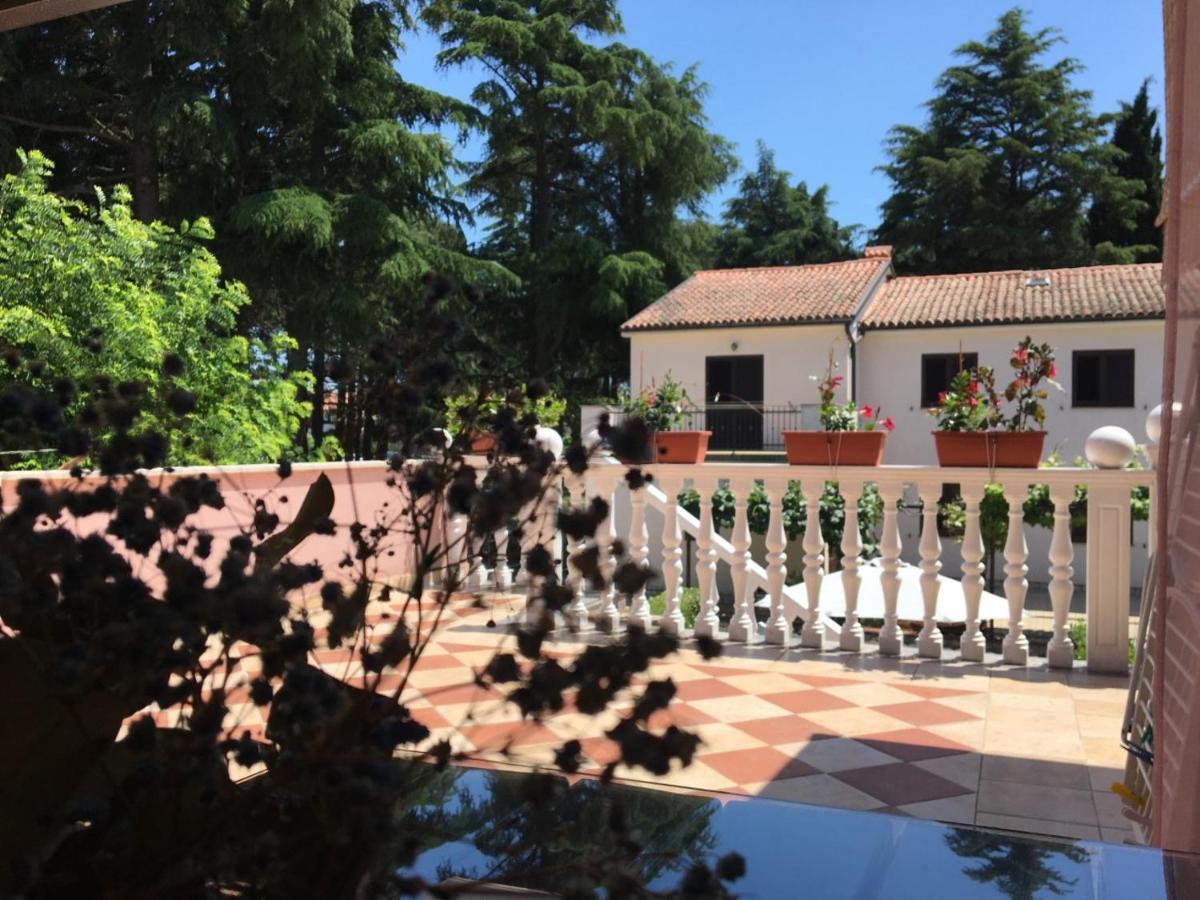Apartments Tereza Novigrad Istria エクステリア 写真