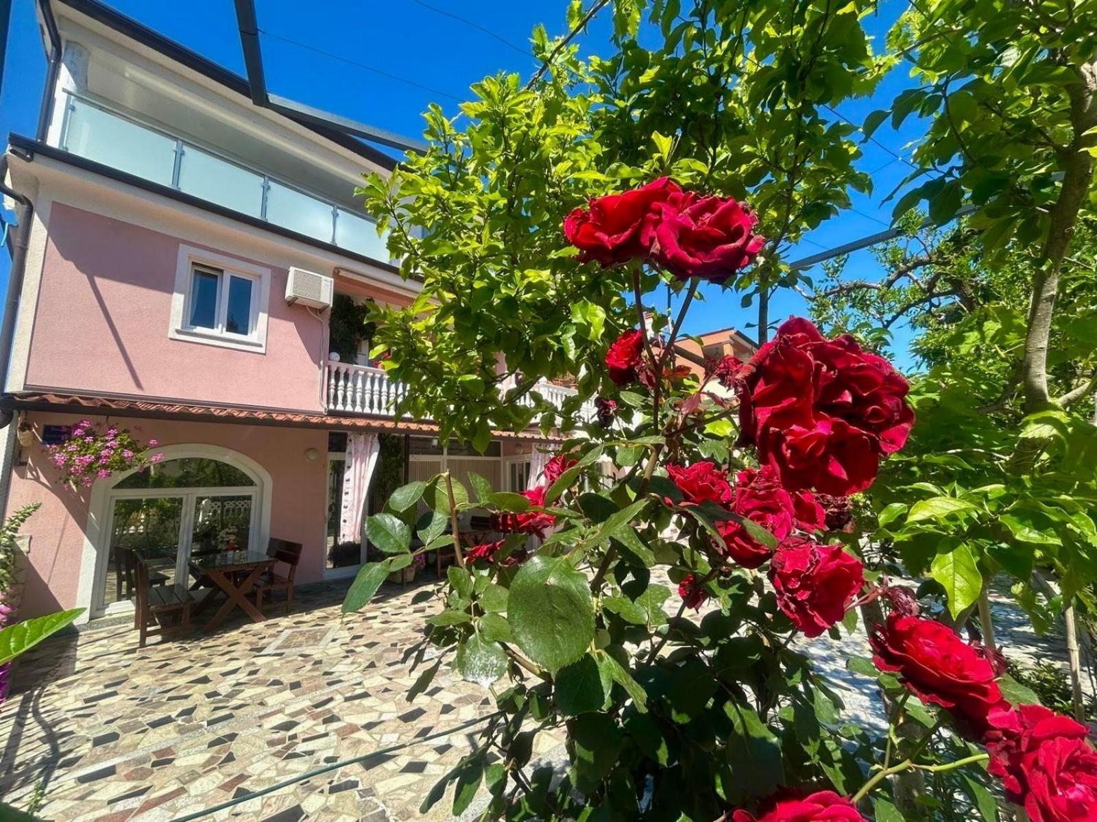 Apartments Tereza Novigrad Istria エクステリア 写真